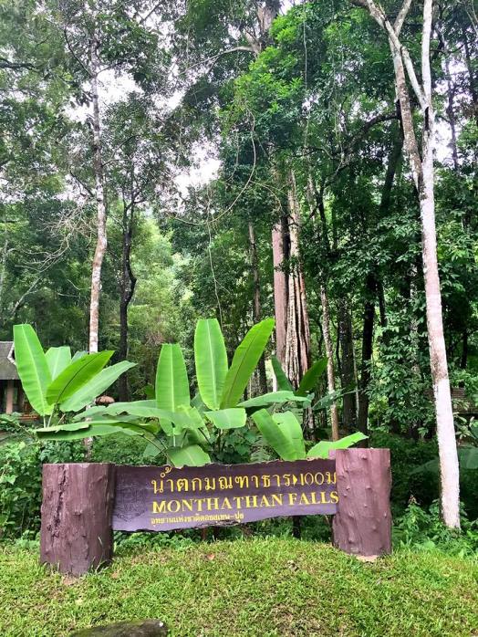 11898556_10207362663207586_902046791643523796_n