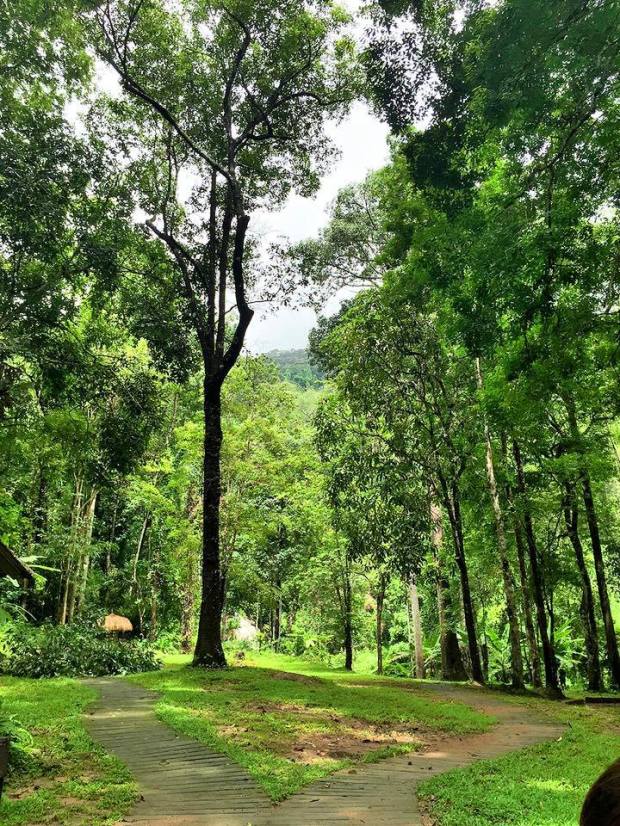 11899962_10207362661927554_4209017335421247163_n