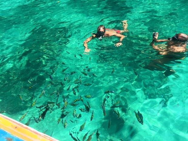 10541807_10207918885552797_7112067311389915499_n