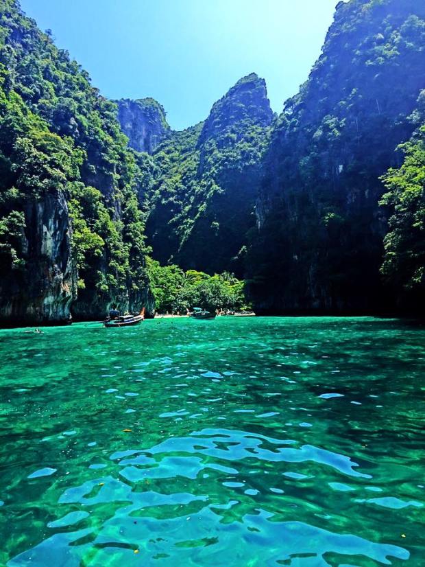 11221458_10207362680528019_2740723046484481456_n