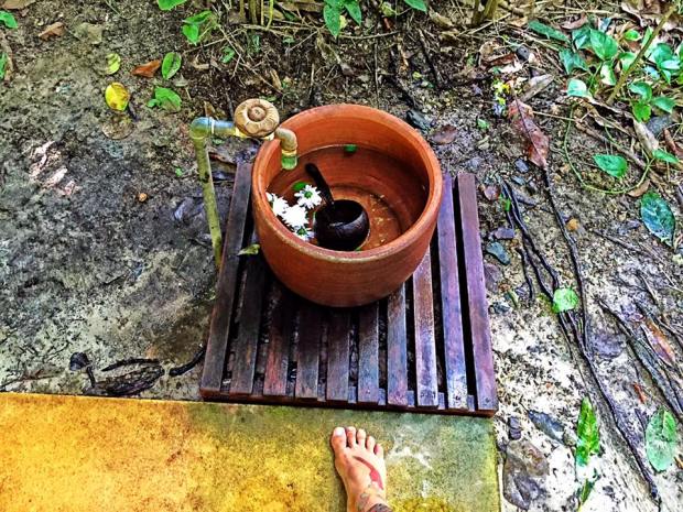 11261514_10207918886712826_3287439011781223015_n