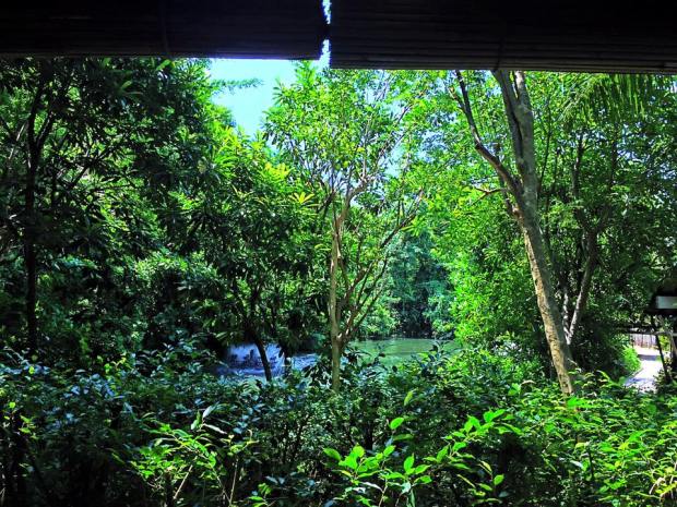 11902568_10207362682128059_1592641872799568413_n