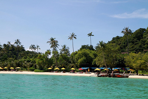 5303288809_d04ac441b4