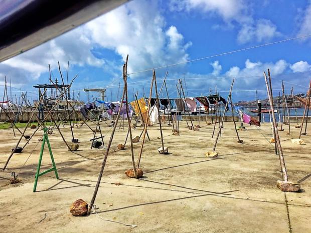 12592270_10208897233330880_8355625896669065545_n