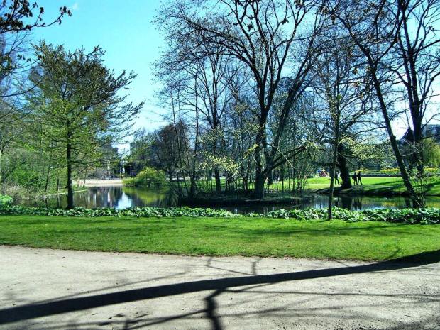 13076972_10209178433800716_2522528632106226110_n