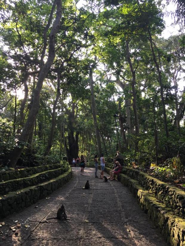 14021519_10210129243690369_1559792297409775126_n