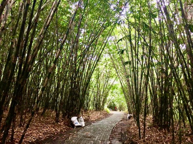 14022349_10210137667140950_8231247232062708171_n (1)