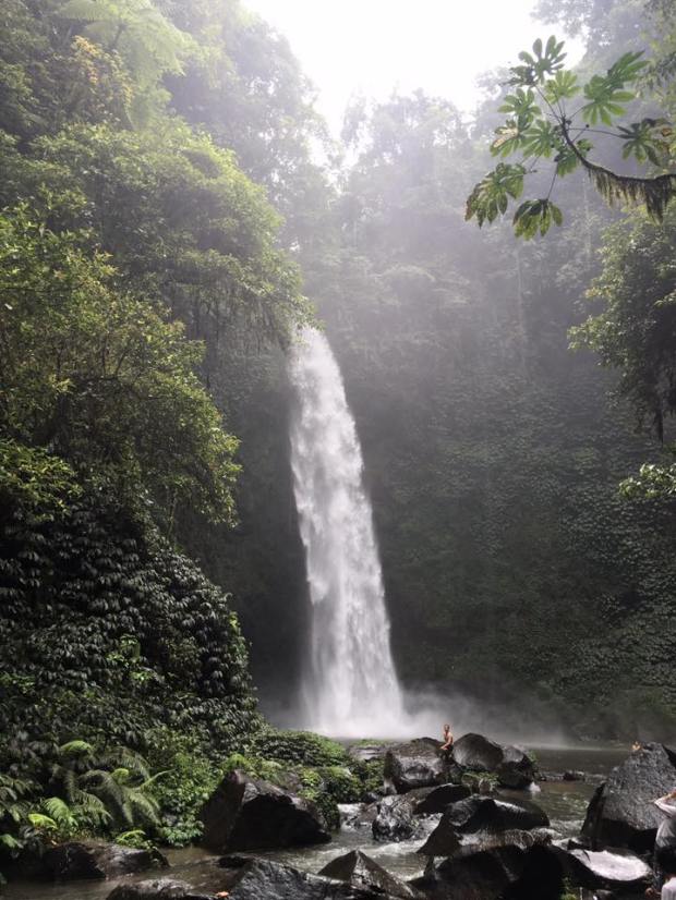 14695578_10210575060075500_3423321154322463589_n