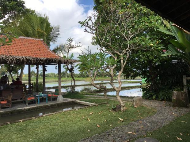 14725698_10210643235539844_6833709816916348163_n