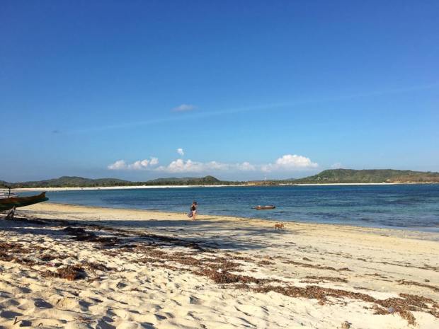 14067512_10210051966998500_2312781675360146214_n