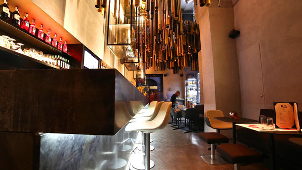 moyo-l-atmosfera-353a1