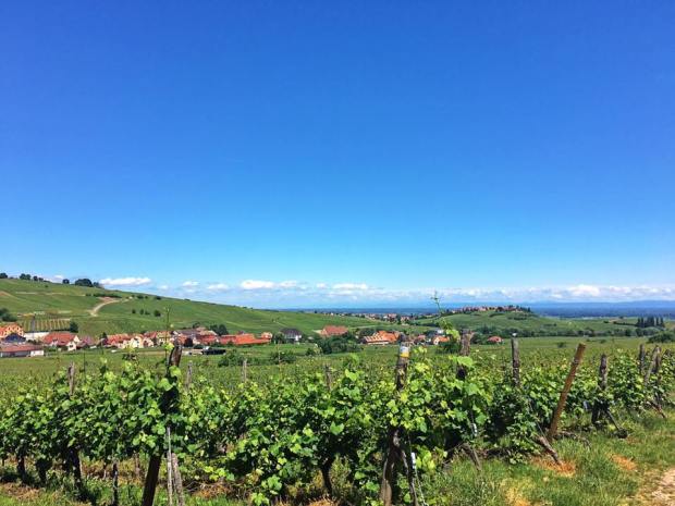 18839053_10212823823173172_4906002590168144517_n