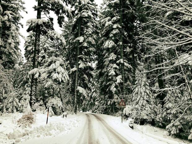 28056407_10215097244127275_4670305987325485125_n