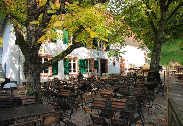 5266006800_8758b6875b_b